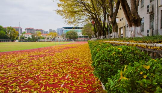 郑州捷登高考全日制学校是否正规 校区电话地址在哪