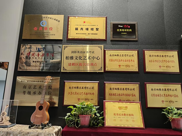 南京柏雅琴行声乐培训机构 南京柏雅琴行声乐培训机构