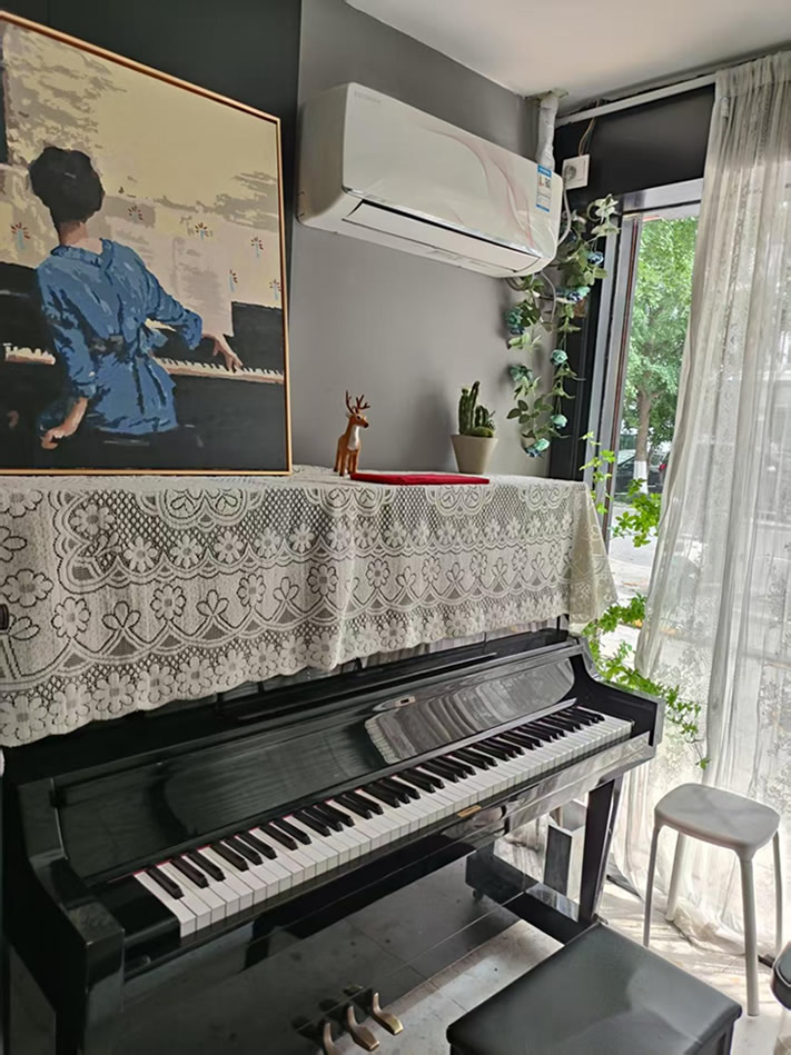 南京柏雅琴行声乐培训机构 南京柏雅琴行声乐培训机构