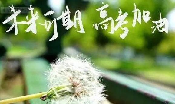 郑州捷登高考复读全日制辅导机构教学质量好不好