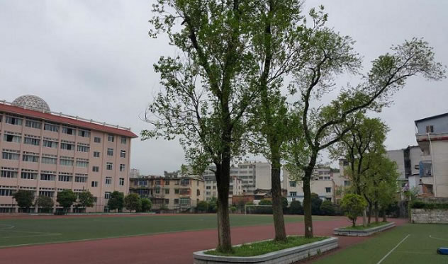 没考上高中还能有什么途径上大学