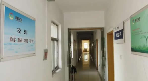 济南晨露学校艺术生文化课升学率高吗