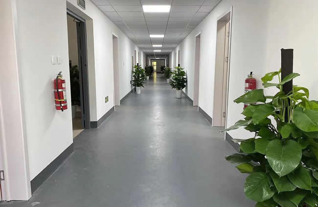 南京中派高考复读学校怎么样 升学率如何