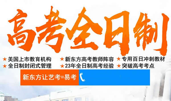 武汉新东方高考一对一辅导价格多少钱