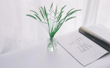 青岛新学尚学院提供高品质意大利语培训课程