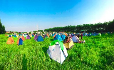 哈尔滨口语训练，找一流德语教育品牌