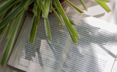 学习韩语，哈尔滨不容错过的全日制汉韩双语培训
