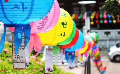 深入了解辖区意大利语学院，哪家更实惠且优秀