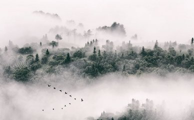 走进韩式学习：青岛韩语学习之旅
