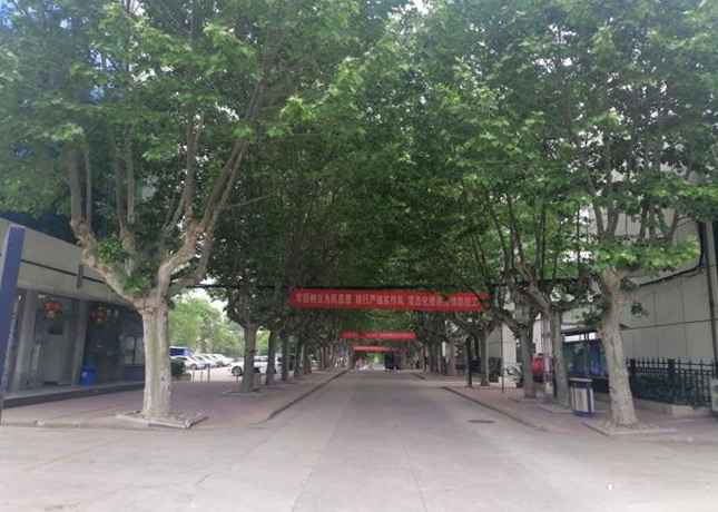 绿荫小道2