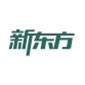 北京新东方考研专升本四六级集训营