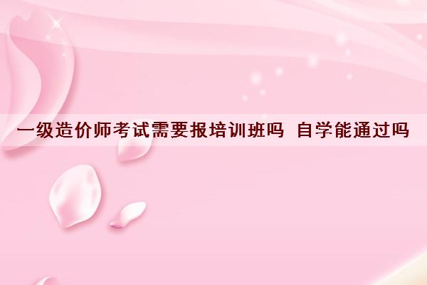 一级造价师考试需要报培训班吗 自学能通过吗