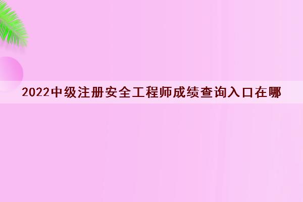 2022中级注册安全工程师成绩查询入口在哪