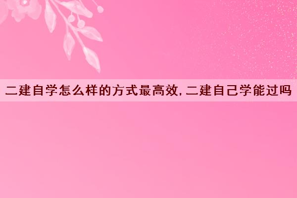 二建自学怎么样的方式最高效,二建自己学能过吗