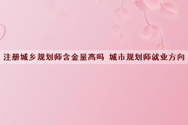 注册城乡规划师含金量高吗 城市规划师就业方向