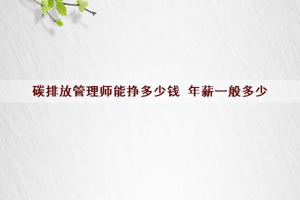 碳排放管理师能挣多少钱 年薪一般多少