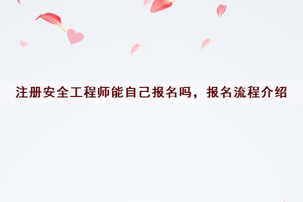 注册安全工程师能自己报名吗，报名流程介绍
