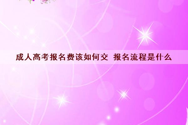 成人高考报名费该如何交 报名流程是什么 成人高考报名费该如何交 报名流程是什么