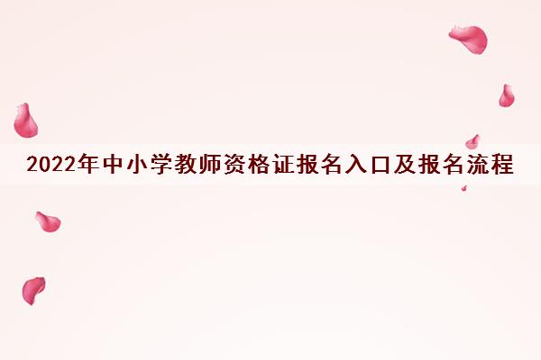 2022年中小学教师资格证报名入口及报名流程