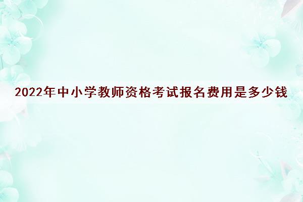 2022年中小学教师资格考试报名费用是多少钱 2022年中小学教师资格考试报名费用是多少钱