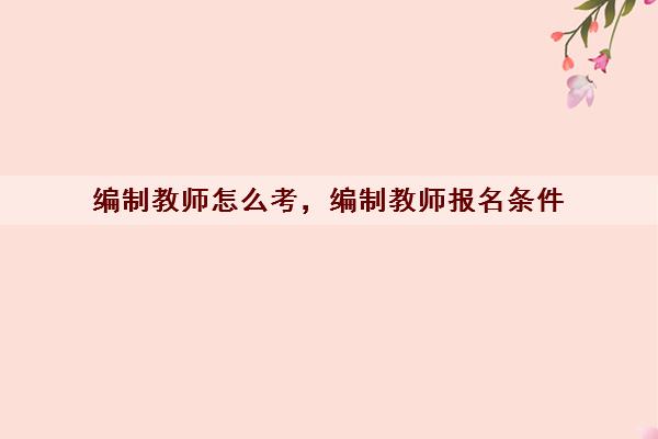 编制教师怎么考，编制教师报名条件