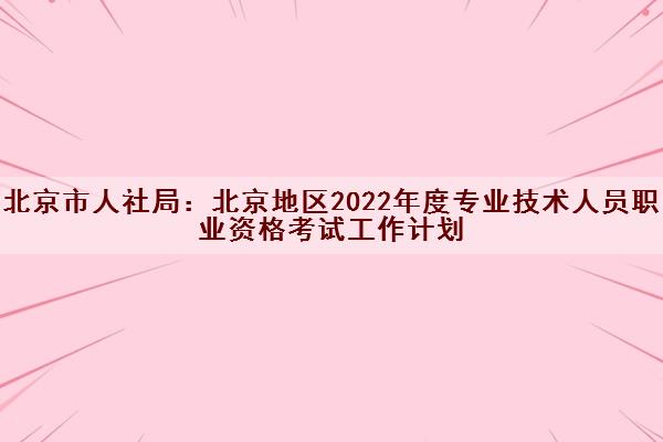 北京市人社局：北京地区2022年度专业技术人员职业资格考试工作计划