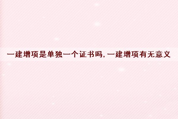 一建增项是单独一个证书吗,一建增项有无意义