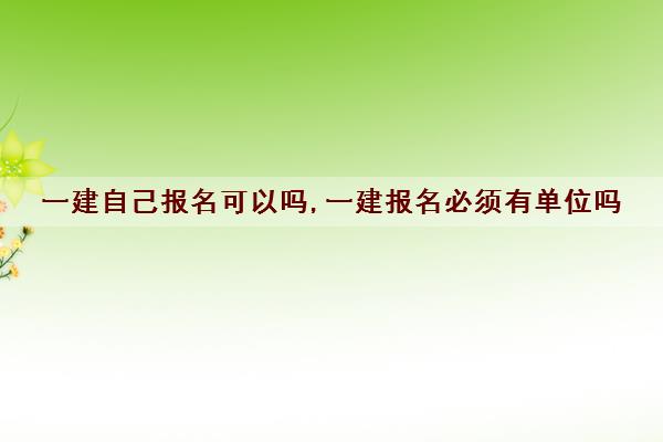 一建自己报名可以吗,一建报名必须有单位吗