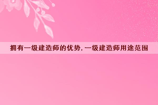 拥有一级建造师的优势,一级建造师用途范围