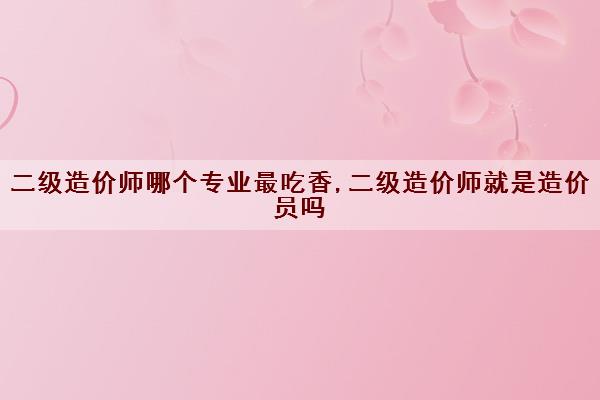 二级造价师哪个专业最吃香,二级造价师就是造价员吗