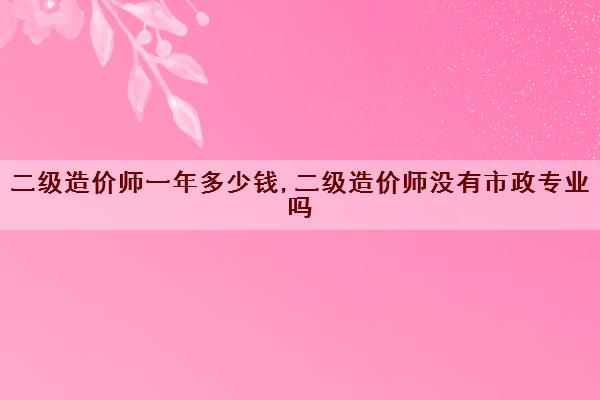 二级造价师一年多少钱,二级造价师没有市政专业吗