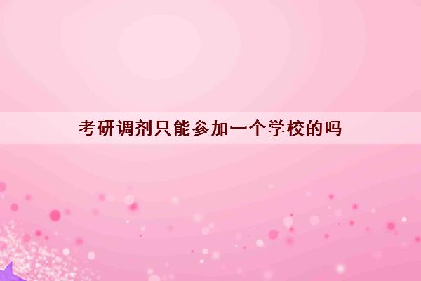 考研调剂只能参加一个学校的吗