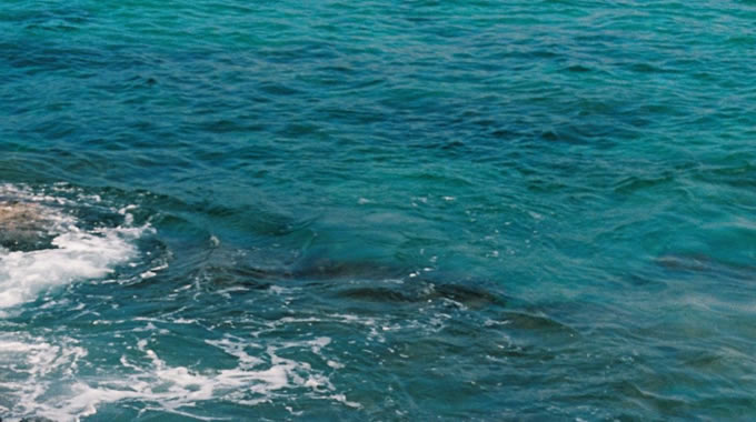 一级造价工程师怎么考,哪个网校一级造价课程好