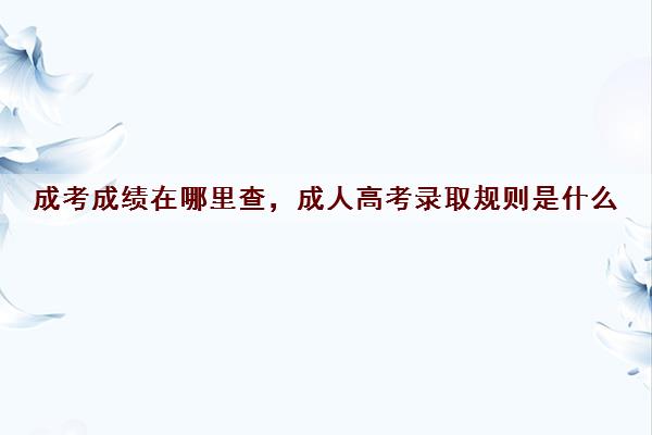 成考成绩在哪里查,成人高考录取规则是什么 成考成绩在哪里查,成人高考录取规则是什么