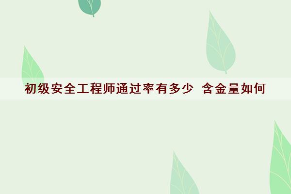初级安全工程师***有多少 含金量如何