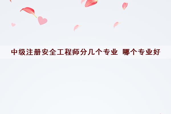 中级注册安全工程师分几个专业 哪个专业好