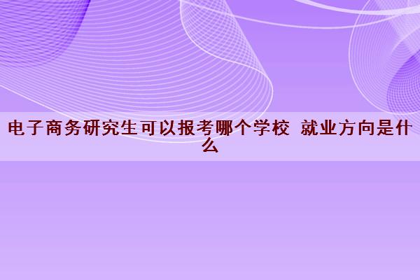 电子商务研究生可以报考哪个学校 就业方向是什么 电子商务研究生可以报考哪个学校 就业方向是什么