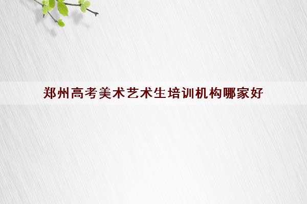 郑州高考美术艺术生培训机构哪家好 郑州高考美术艺术生培训机构哪家好