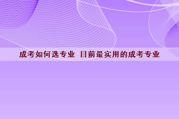 成考如何选专业 目前最实用的成考专业