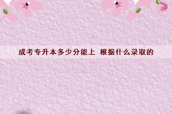 成考专升本多少分能上 根据什么录取的