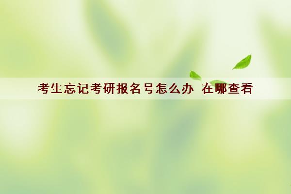 考生忘记考研报名号怎么办 在哪查看