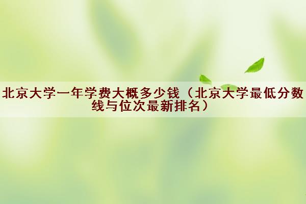 北京大学一年学费大概多少钱(北京大学最低分数线与位次最新排名) 北京大学一年学费大概多少钱(北京大学最低分数线与位次最新排名)