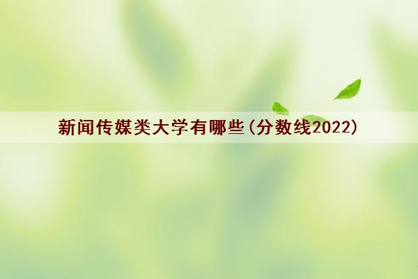 新闻传媒类大学有哪些(分数线2022)