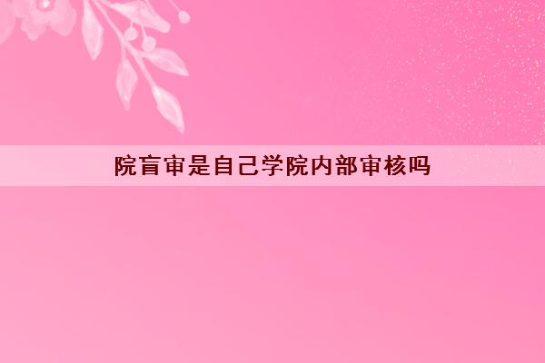 院盲审是自己学院内部审核吗(有什么区别好过吗)
