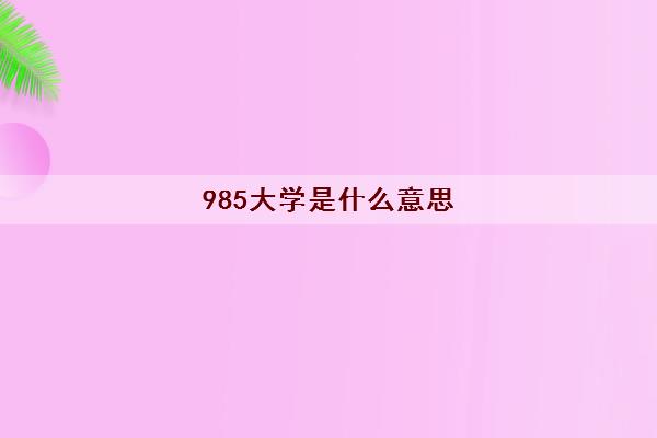 985大学是什么意思(全国985大学2022年最新名单排名)