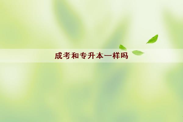 成考和专升本一样吗(哪个好有什么不同)