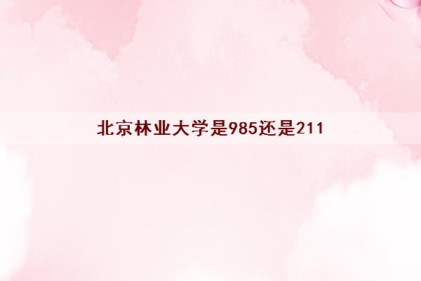 北京林业大学是985还是211(2022研究生分数线) 北京林业大学是985还是211(2022研究生分数线)