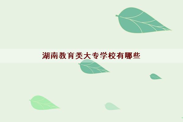 湖南教育类大专学校有哪些(湖南职业学校排名前十2022)