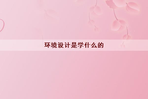 环境设计是学什么的(环境设计专业就业方向)