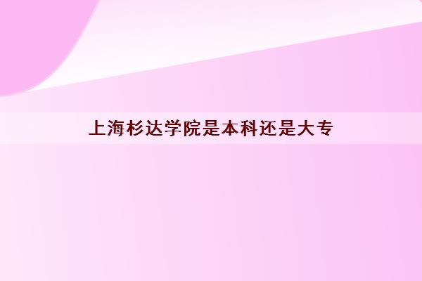 上海杉达学院是本科还是大专(2021录取分数线一览表)